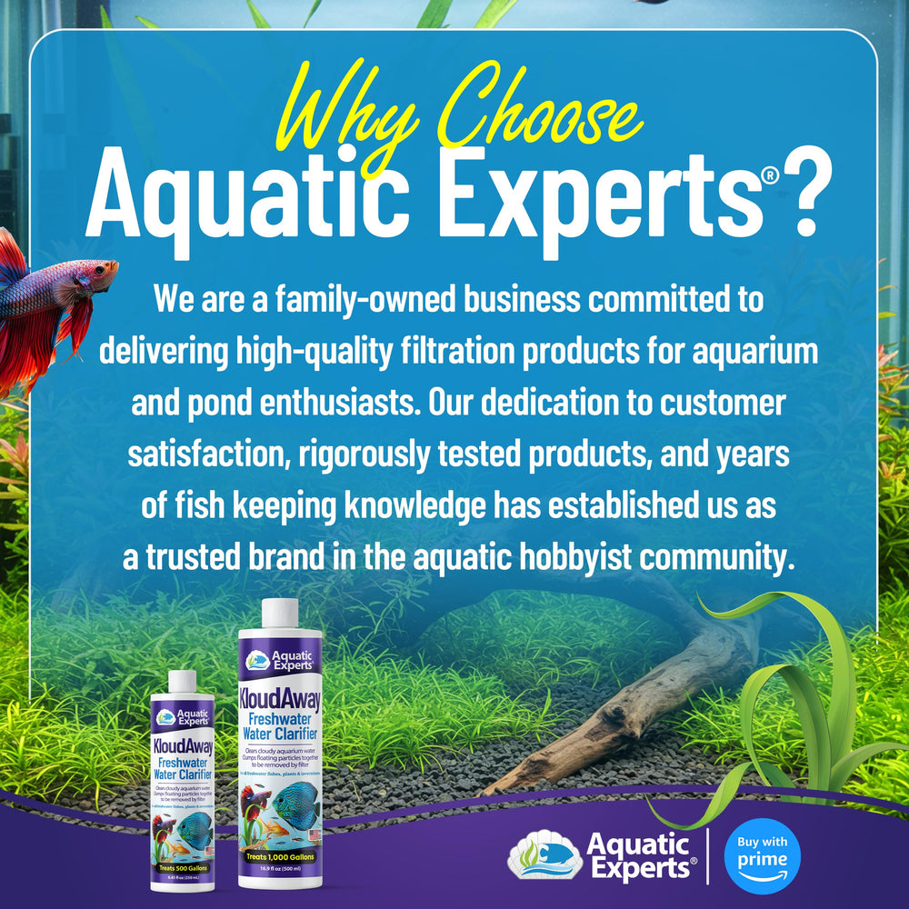Aquatic Experts KloudAway video-guide thumbnail showing quick usage steps.