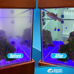 Aquatic Experts sump setup shows reef filter sock improving water clarity via efficient filtration.