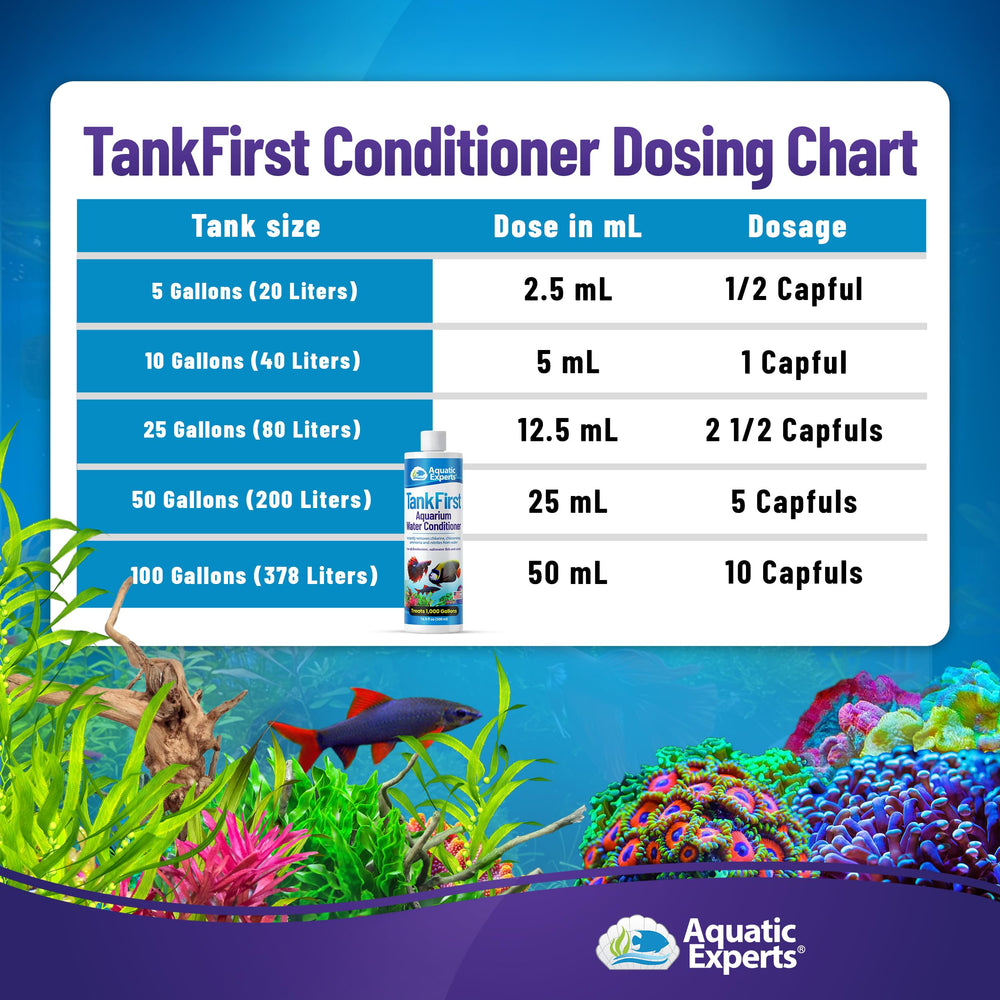 Aquatic Experts TankFirst freshwater-ready setup supports safe initial water