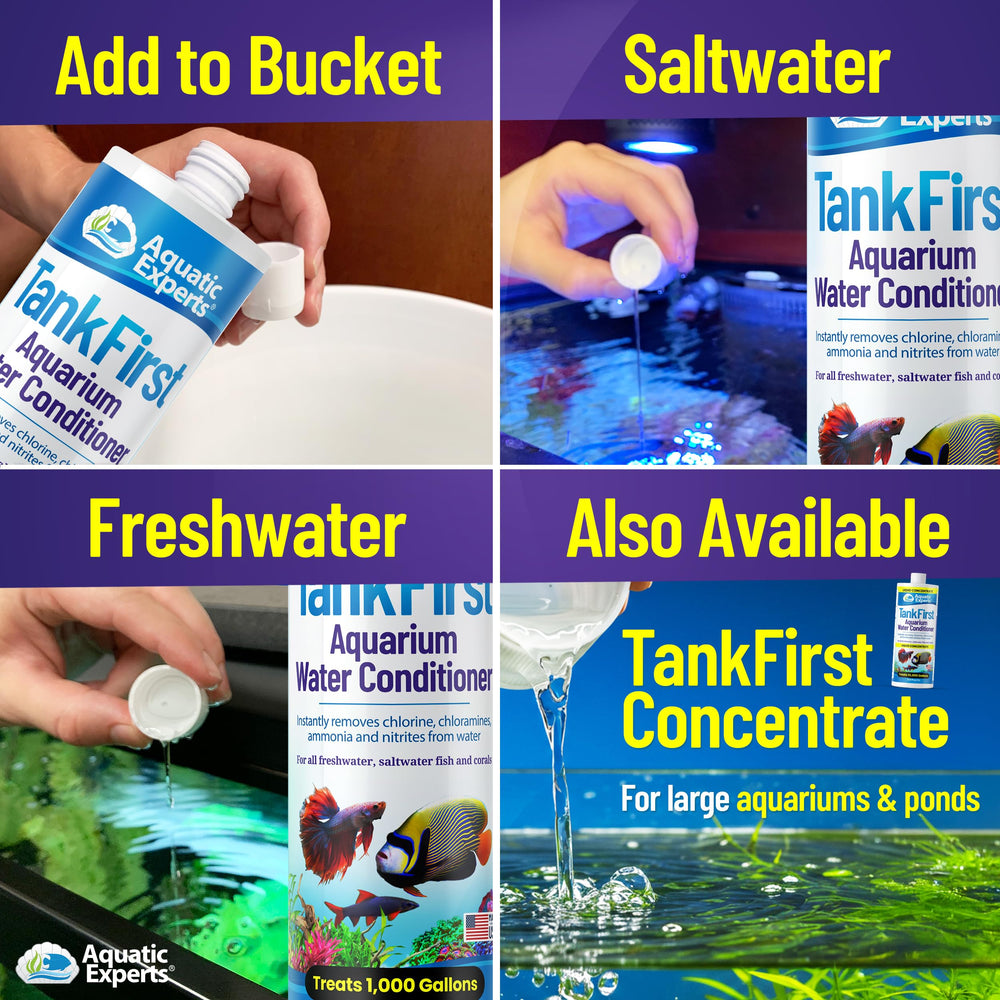 Aquatic Experts TankFirst marine-aquarium usage for reef-compatible care