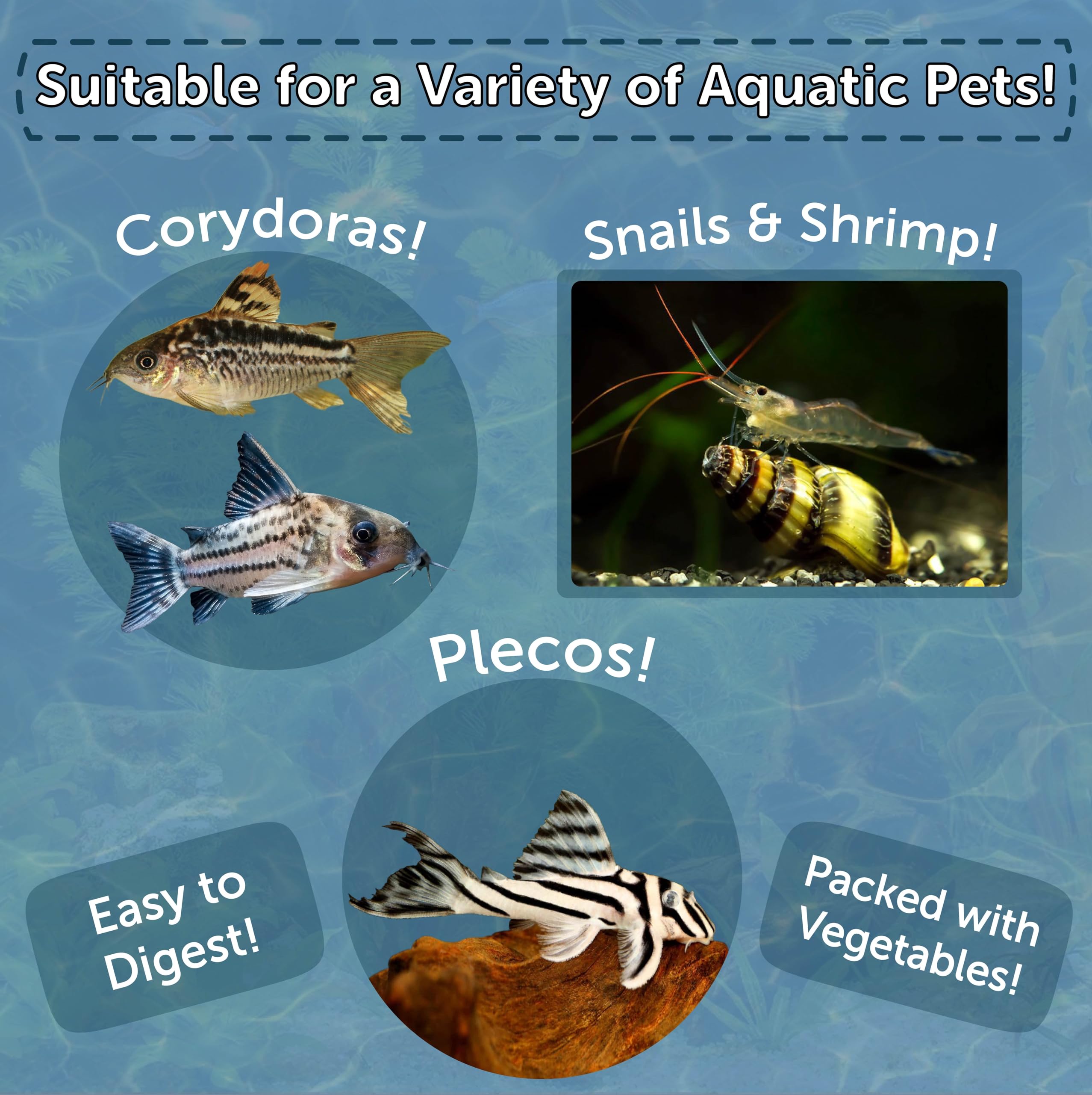 Aquatic Foods Inc. 12-type pellet mix highlights versatile nutrition for mixed tanks.