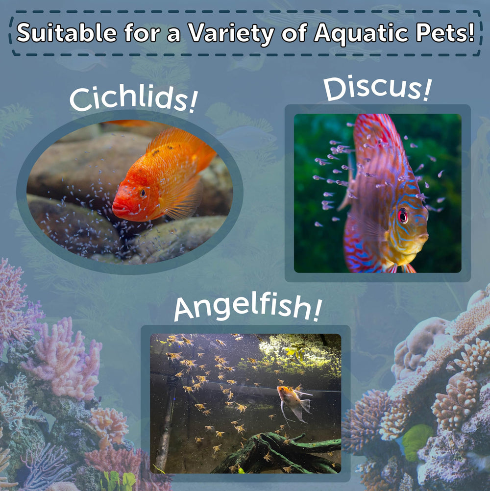 Aquatic Foods Inc. brine-shrimp-eggs dust-free-processing image implies cleaner, ready-to-use product.