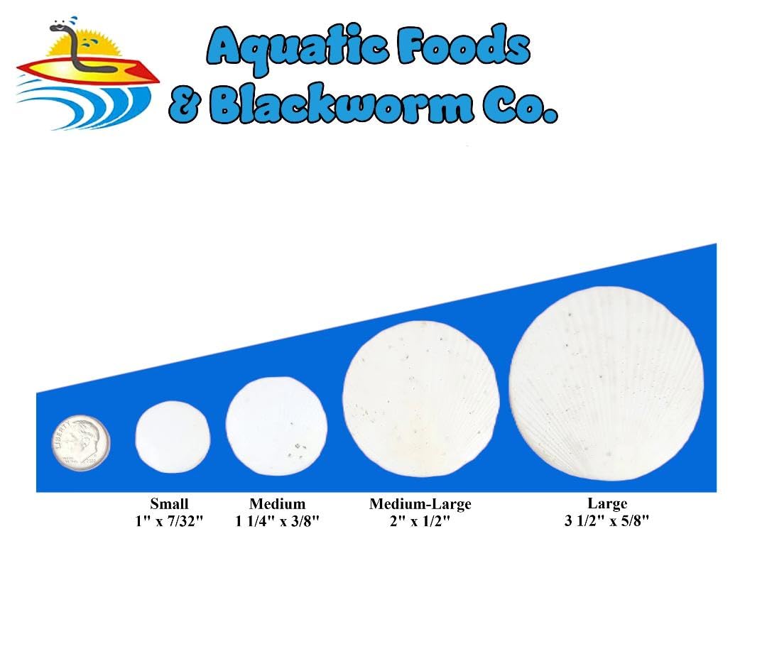 Aquatic Foods Inc calcium feeders disk crabs supports shell strength and vitality