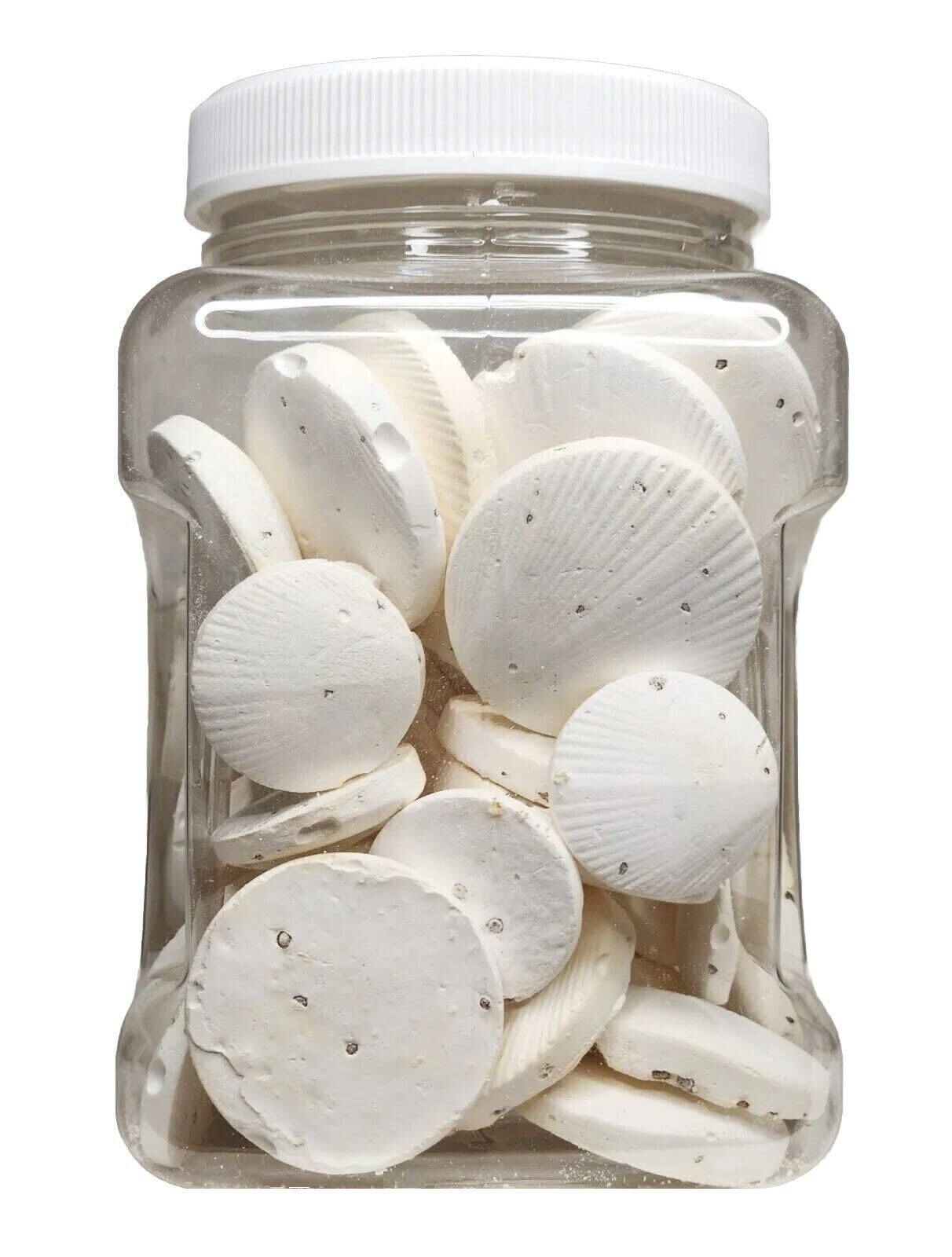 Aquatic Foods Inc calcium feeders disk snails delivers calcium for healthier shells