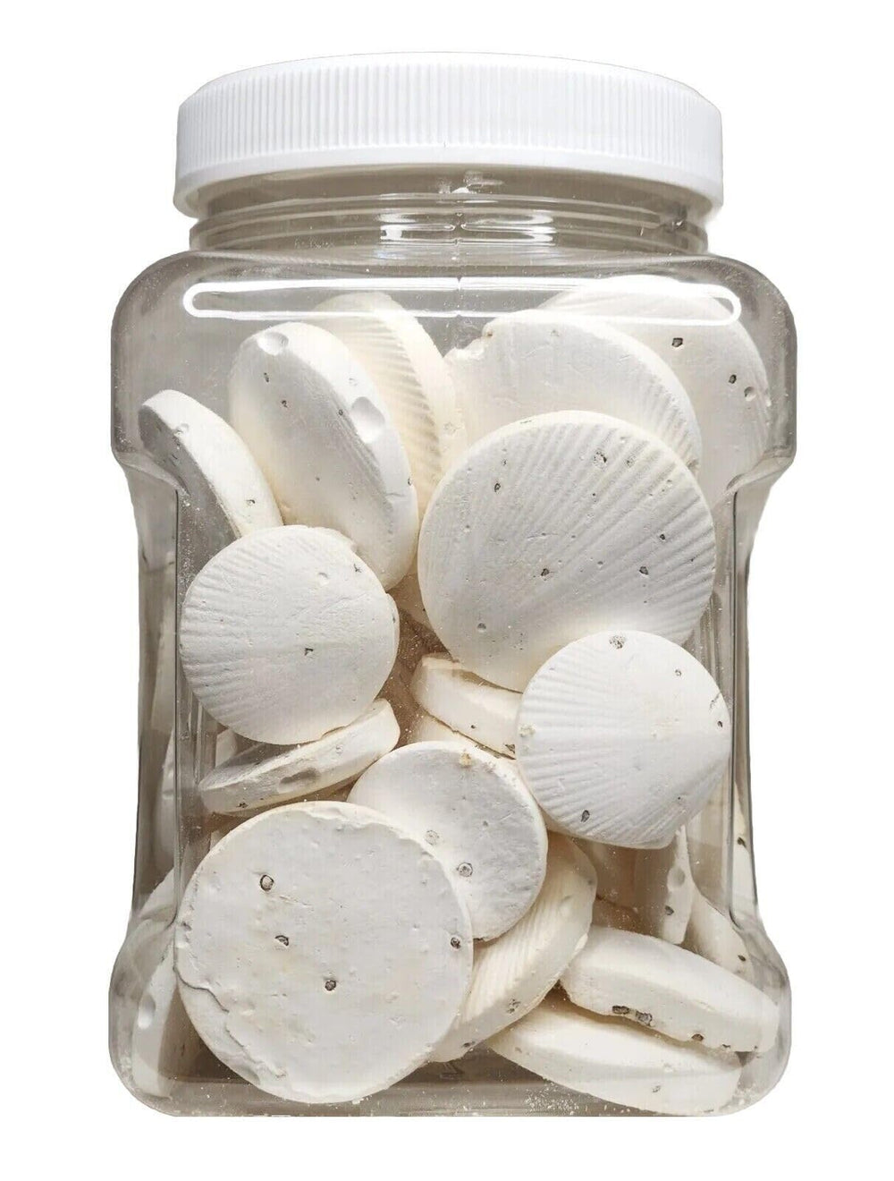 Aquatic Foods Inc calcium feeders disk snails delivers calcium for healthier shells