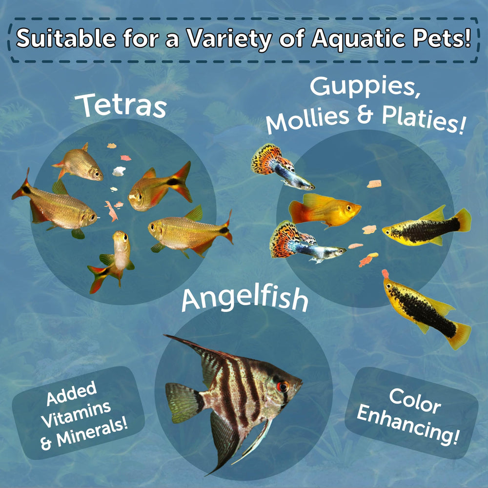 Aquatic Foods Inc feeding flakes to angel fish, guppies, and loaches in tank.