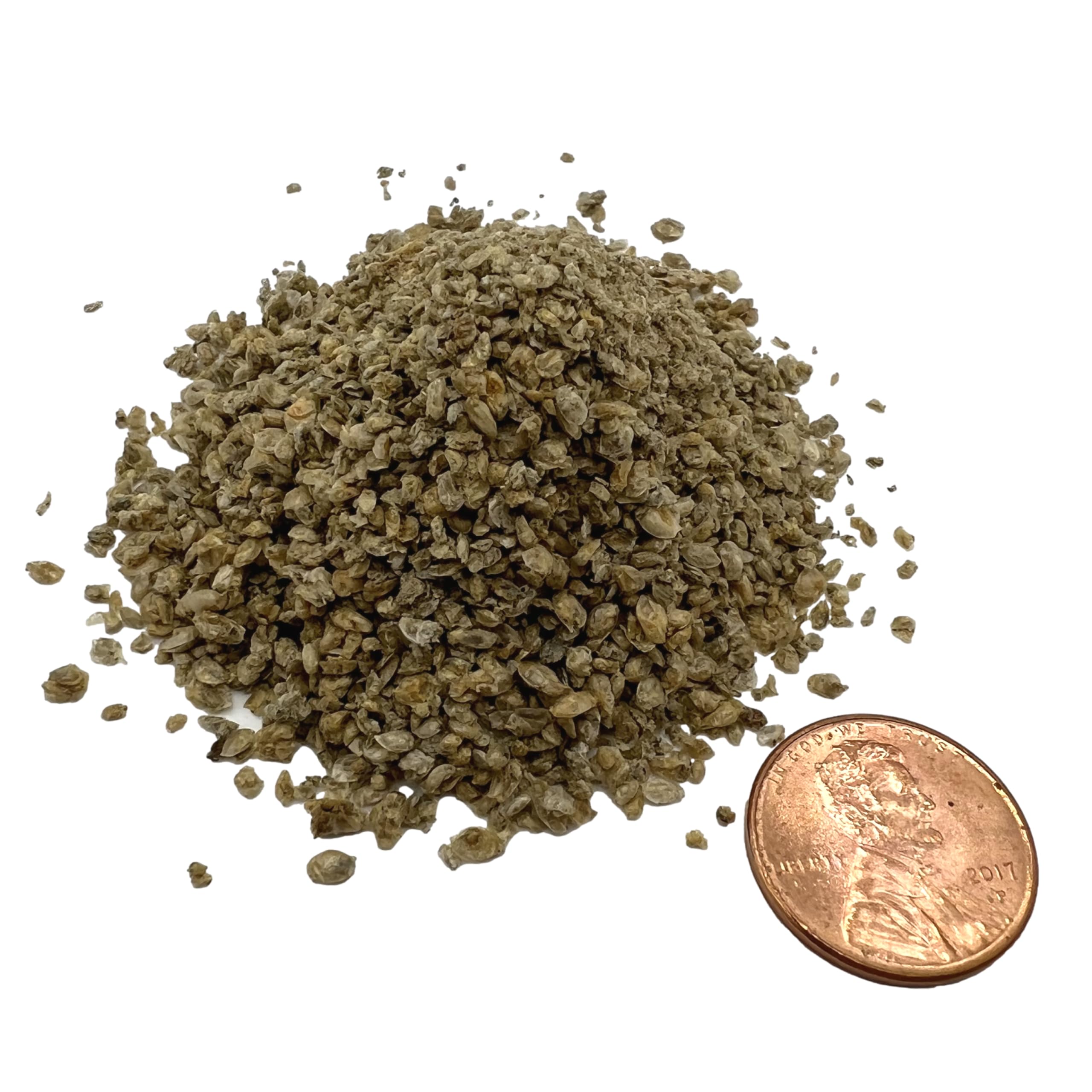 Aquatic Provisions daphnia suitable for freshwater and marine fish and invertebrates feeding