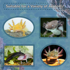 Aquatic Foods Inc rangens salmon-meal pellets closeup for protein-rich axolotl meals.