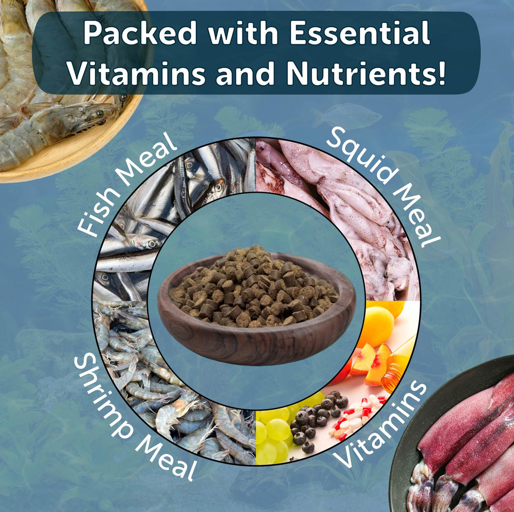 Aquatic Foods Inc tropical fish and axolotl diet collection showcases variety.