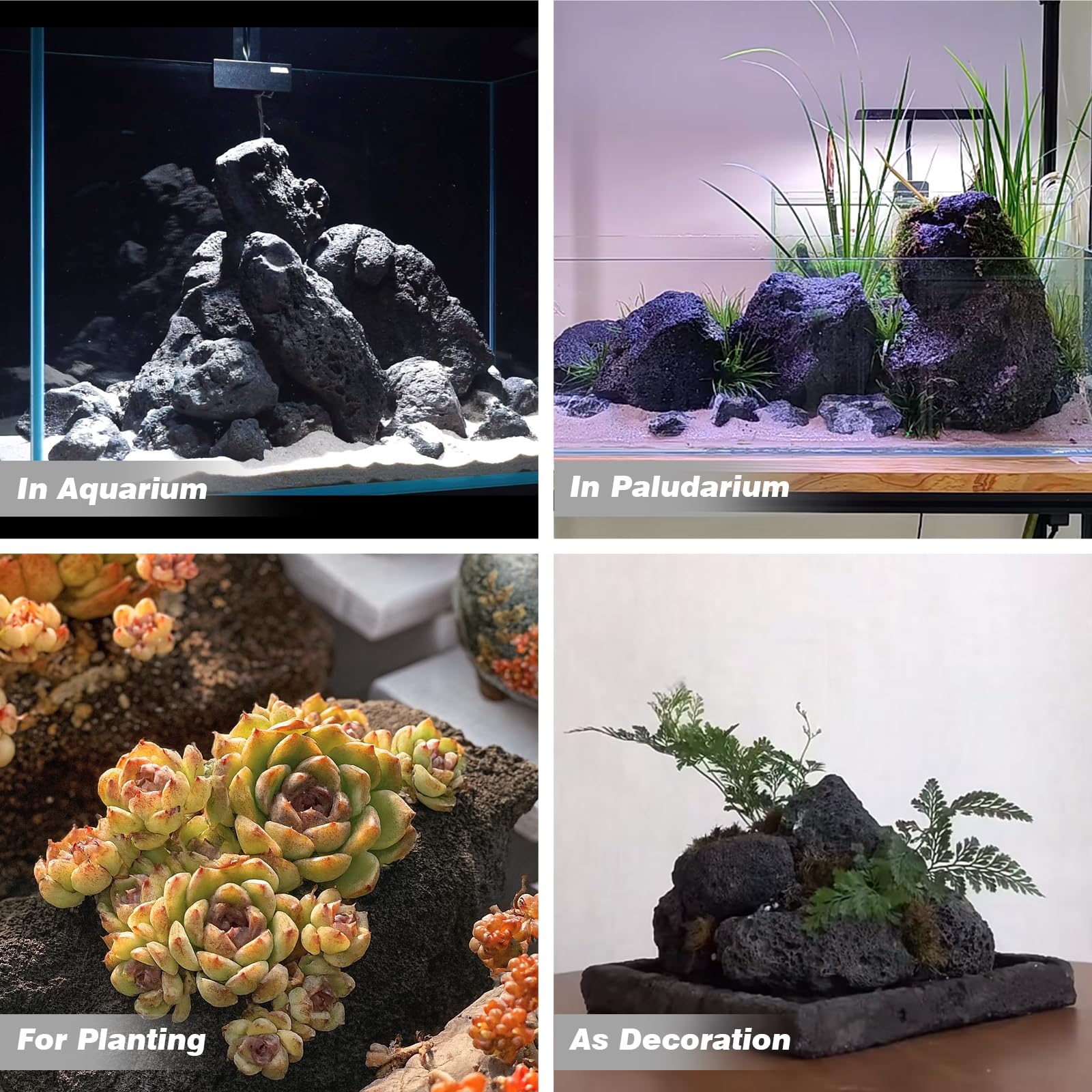 AQUATIS lava rocks in aquarium demonstrate porous surface for improved water flow.