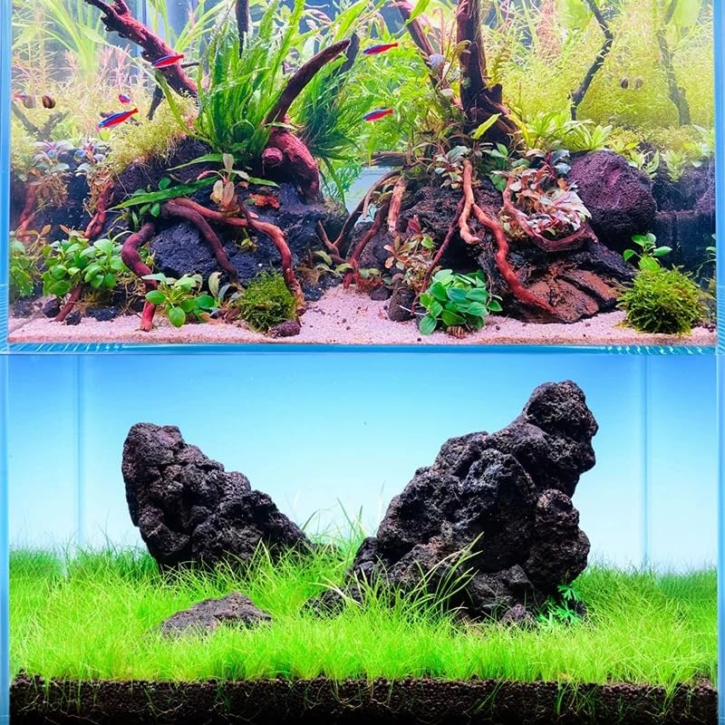 AQUATIS lava rocks in succulent planters enhance drainage and natural texture.