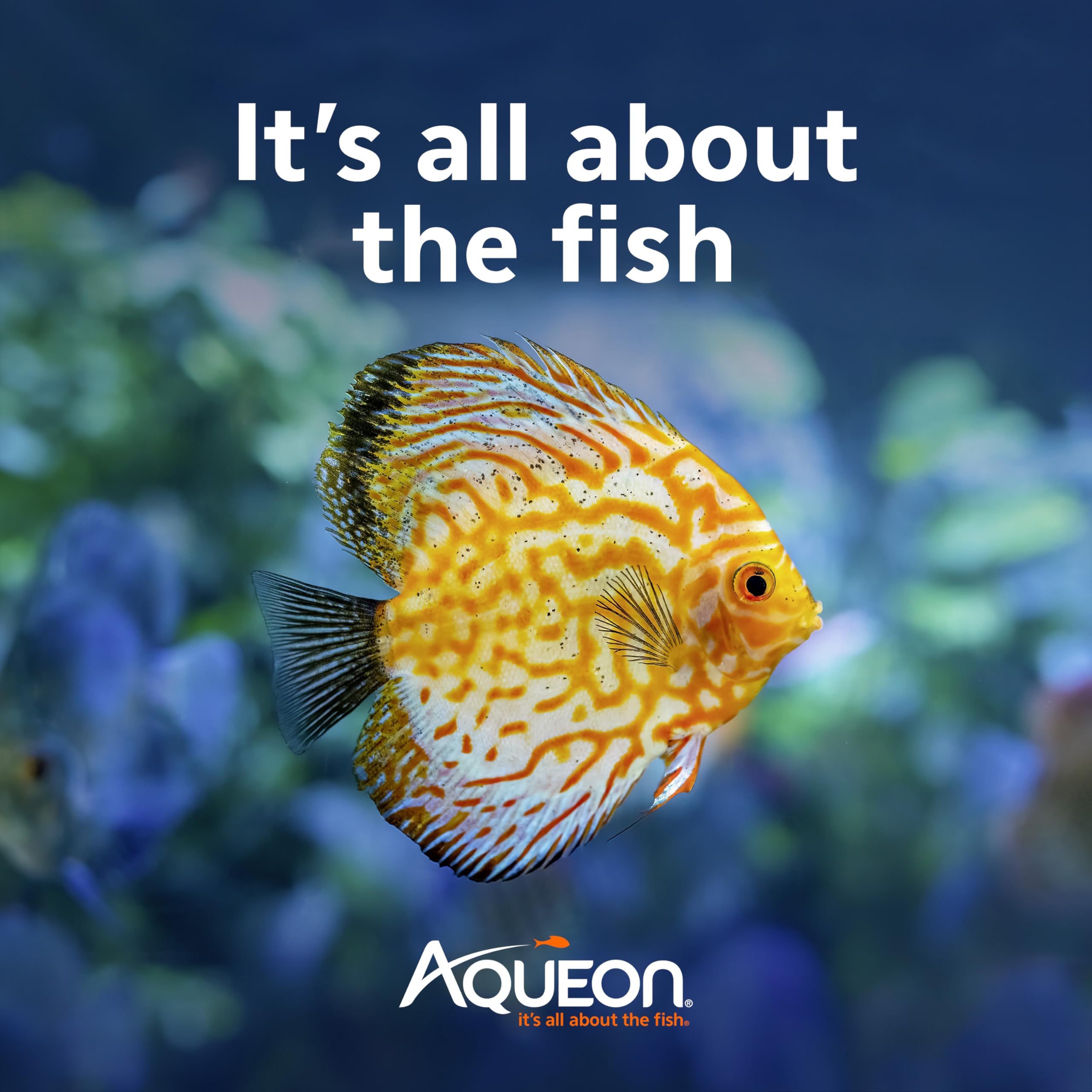 Aqueon AquaPacs ball labeled treats up to 10 gallons for easy dosing.