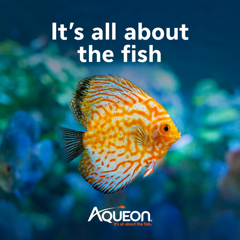 Aqueon AquaPacs ball labeled treats up to 10 gallons for easy dosing.