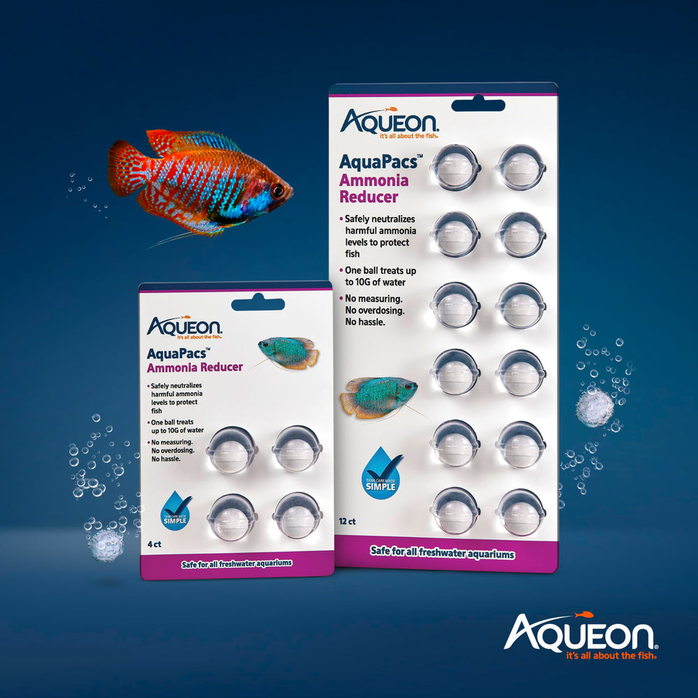 Aqueon AquaPacs in a healthy aquarium enhances water balance for fish.