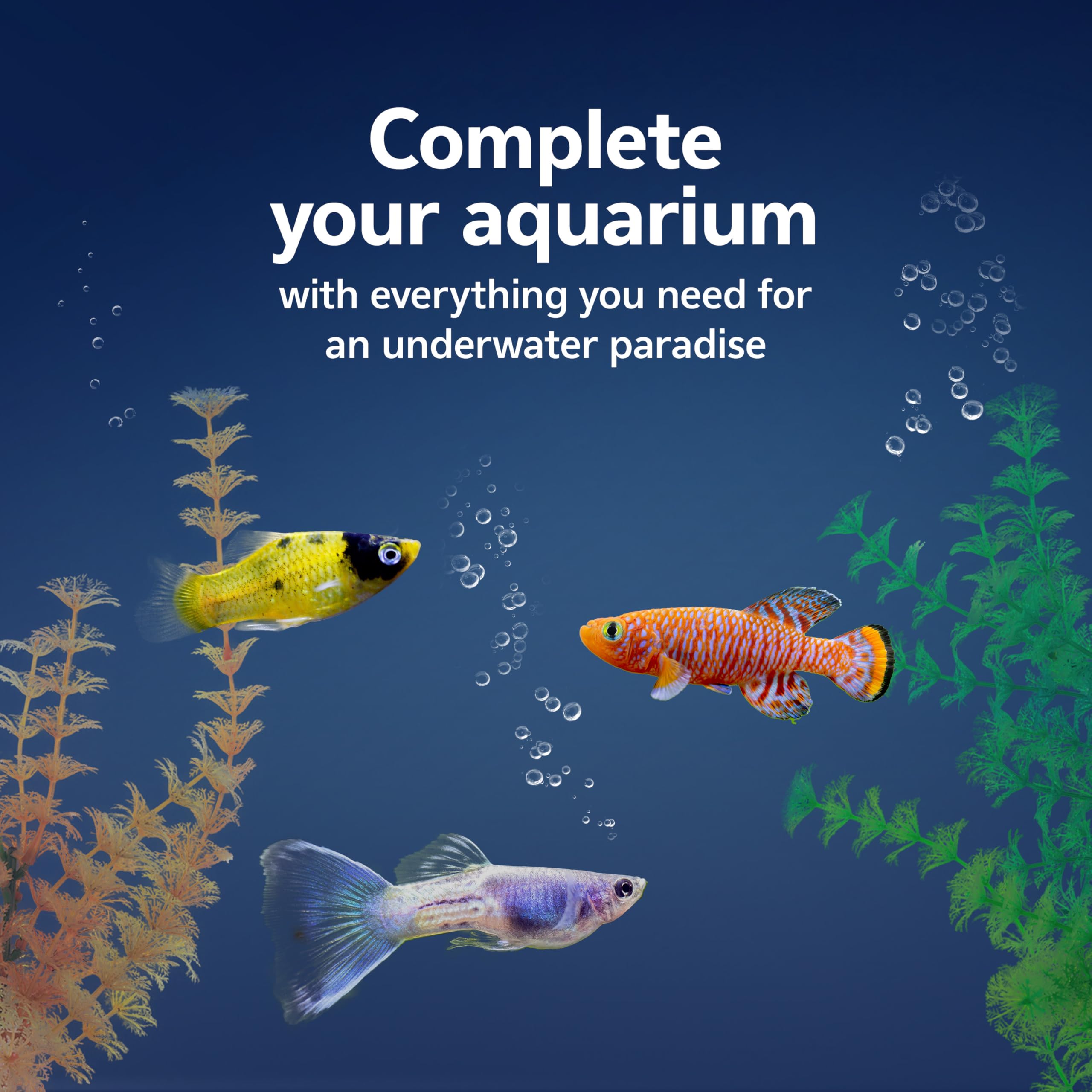 Aqueon Aquarium Essentials starter kit thermometer on glass for quick water checks.