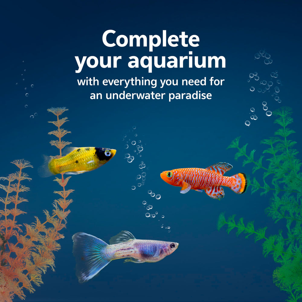Aqueon Aquarium Essentials starter kit thermometer on glass for quick water checks.