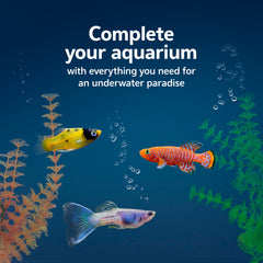 Aqueon Aquarium Essentials starter kit thermometer on glass for quick water checks.