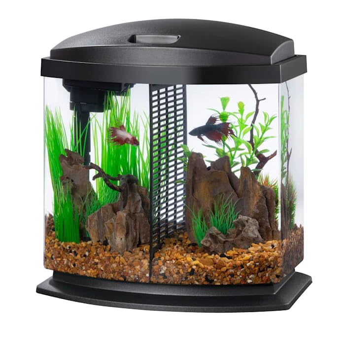 Aqueon BettaBow LED 2.5G habitat highlights space-saving design and simple maintenance.