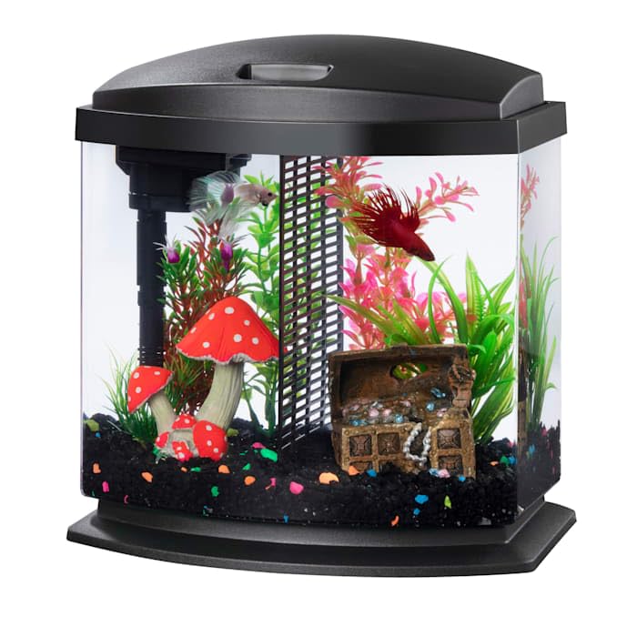 Aqueon BettaBow LED 2.5G setup with a sleek black hood for a compact betta habitat.