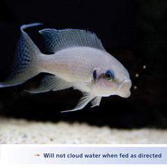 Aqueon Cichlid Food Mini serving dish image promotes easy feeding and reduced waste.