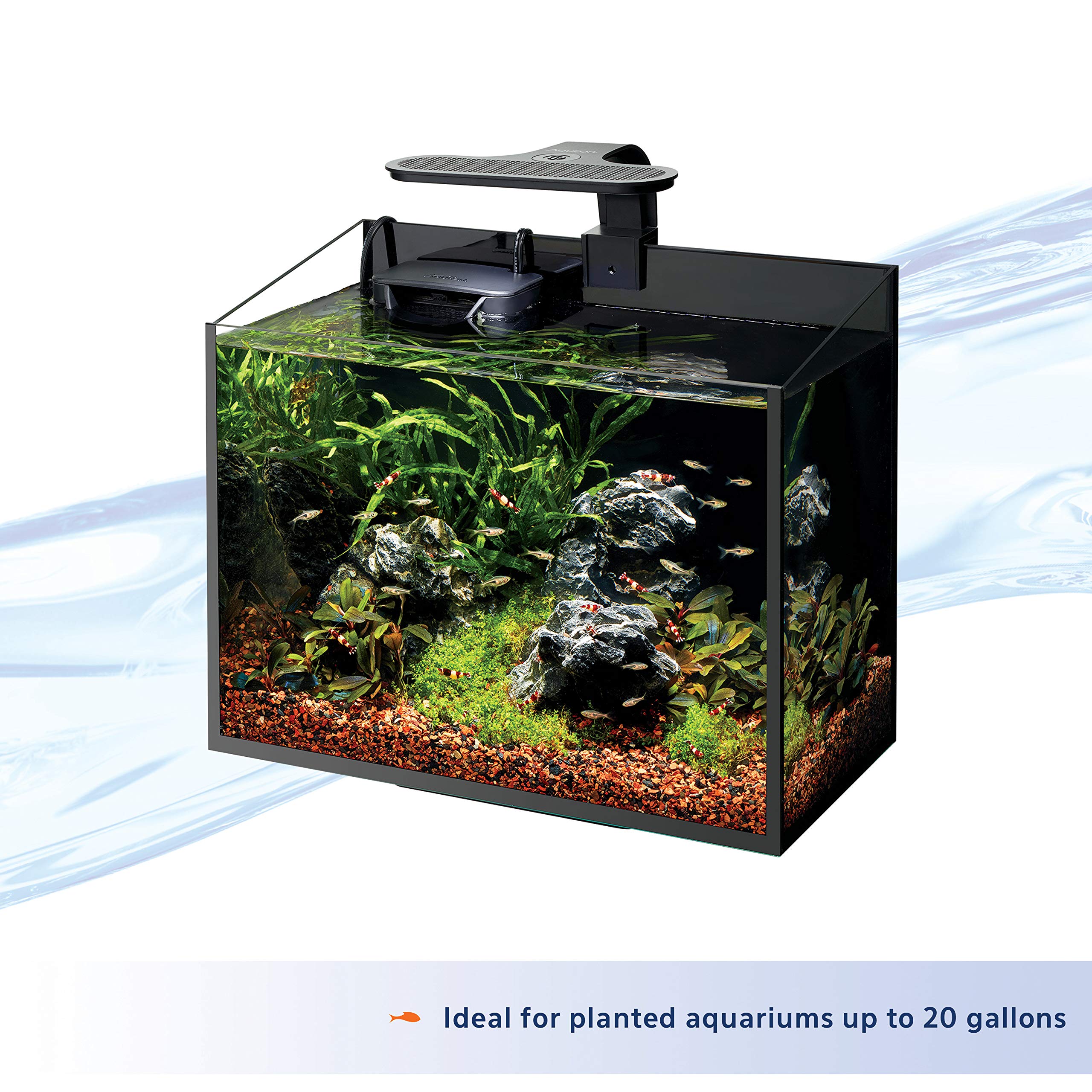 Aqueon clip-on LED light with 3-way soft-touch control for convenience.