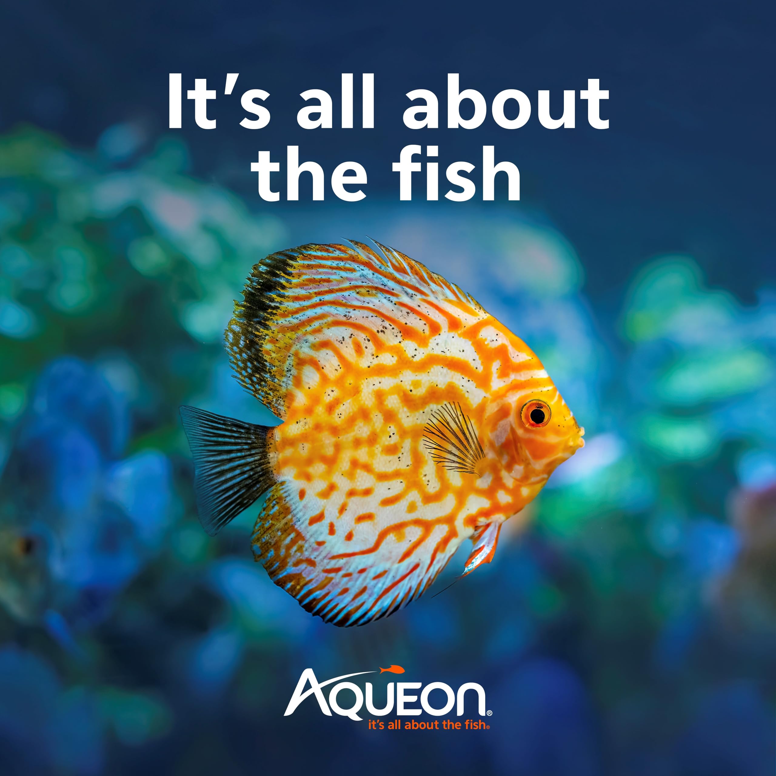 Aqueon Herbivore Shrimp Disc color-enhanced formula supports vibrant shrimp colors