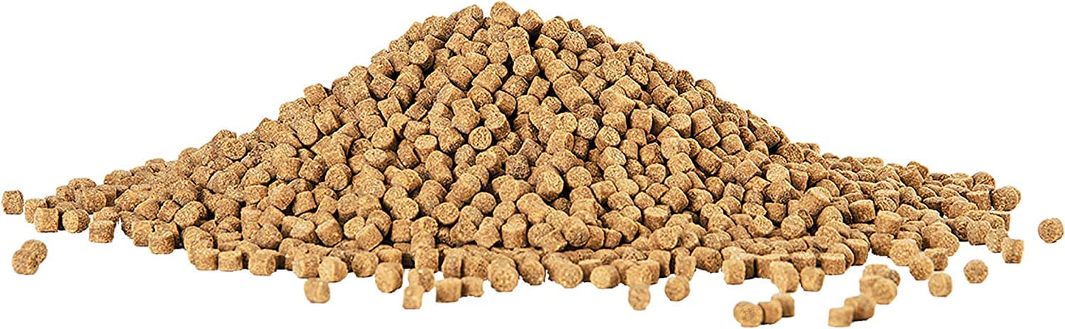 Aqueon Shrimp Pellets sinking formula visible in water with loaches