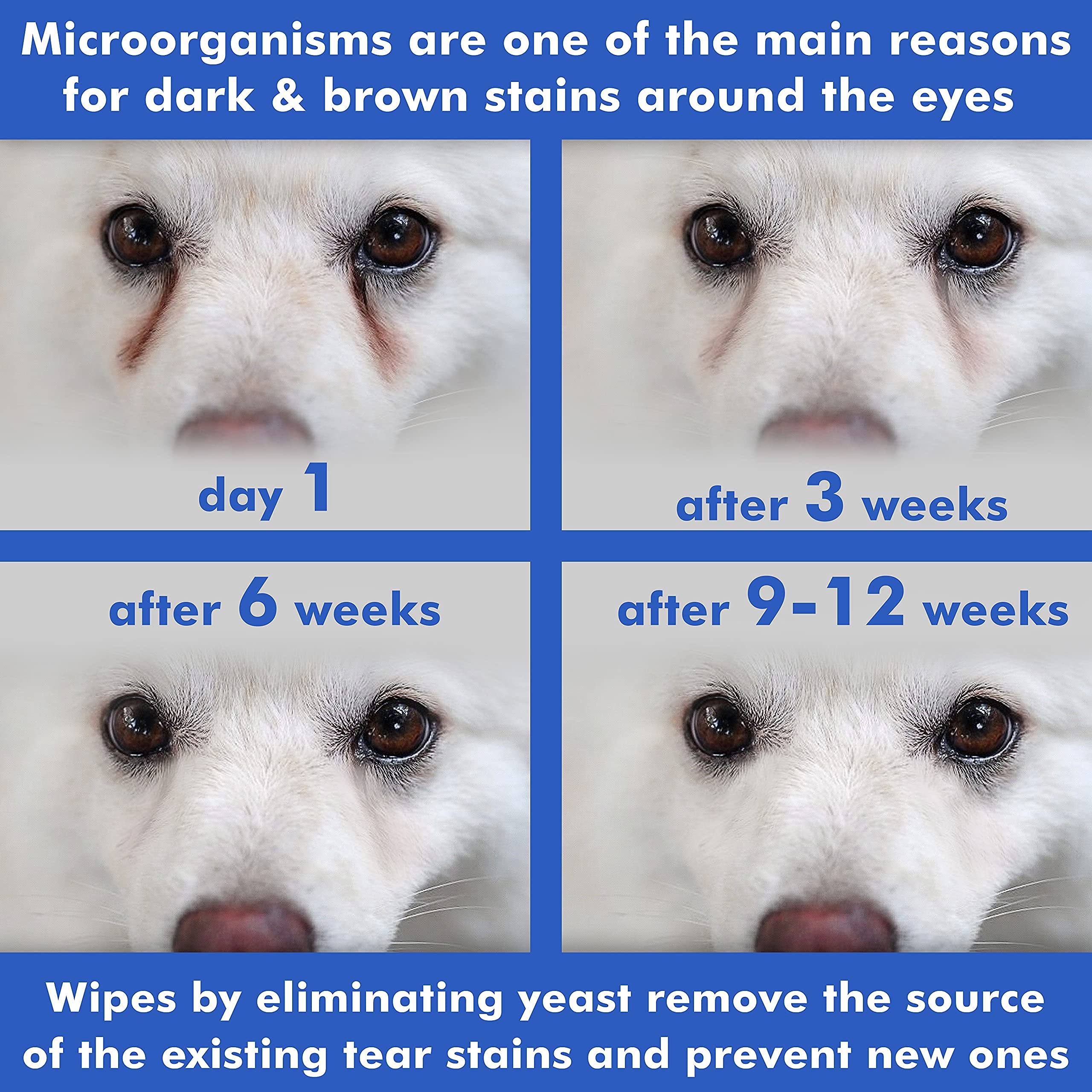 Arava Pet Eye Wipes cleanse around cat eyes with gentle care