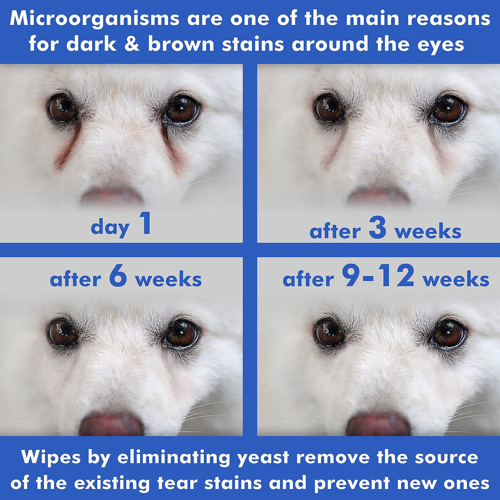 Arava Pet Eye Wipes cleanse around cat eyes with gentle care