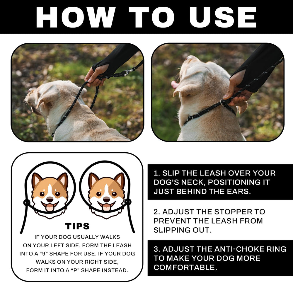 Arblina Slip Leads large-small dogs image shows suitability across breeds with durable, lightweight design.