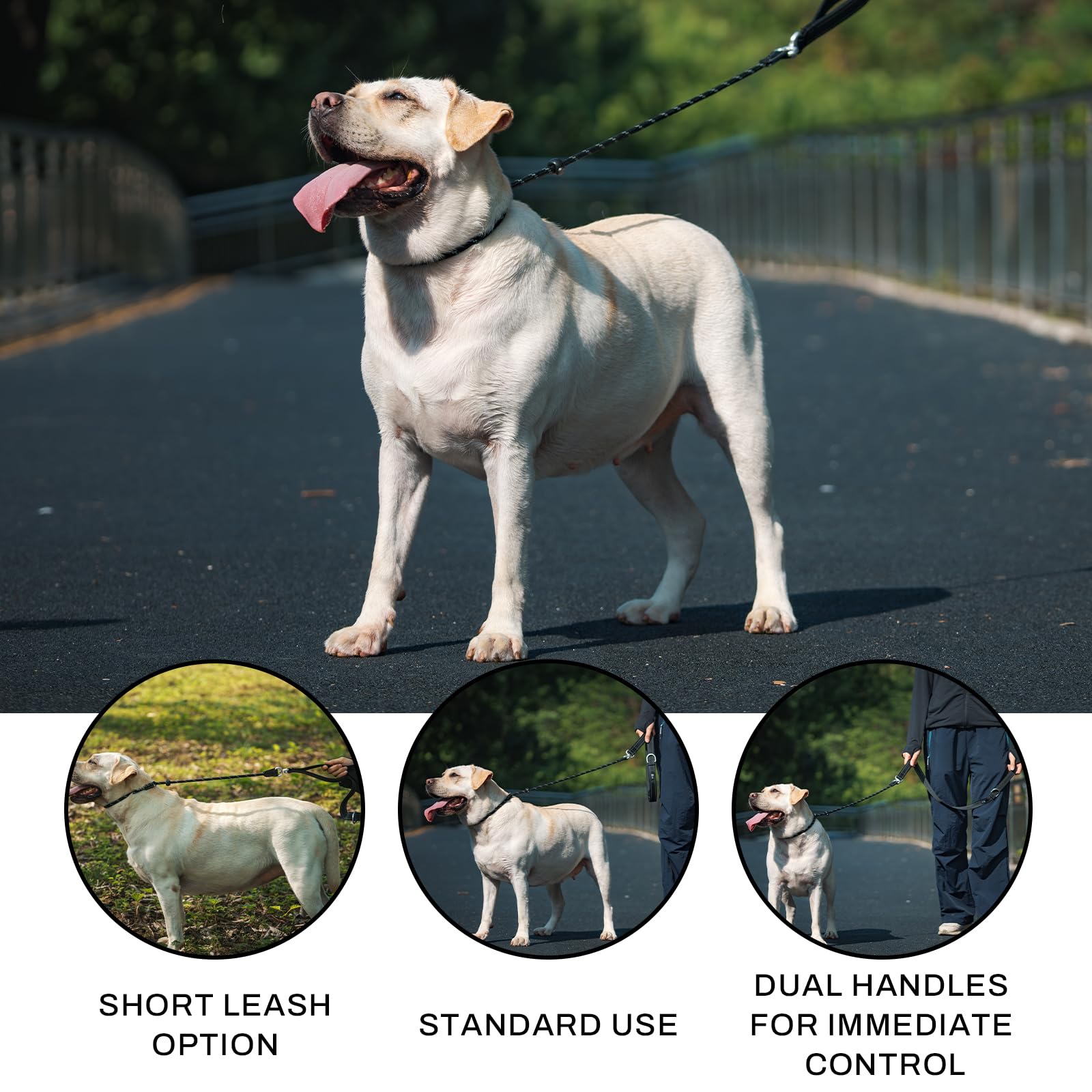 Arblina Slip Leads muzzle-clip in action demonstrates neck-control during training sessions.