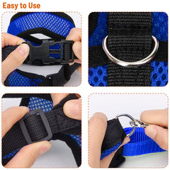 Arbootjin chicken harness blue adjustable buckle provides secure custom fit