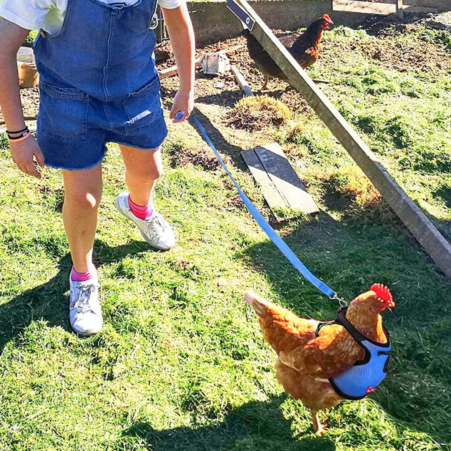 Arbootjin chicken harness blue breathable design keeps pets comfortable outside