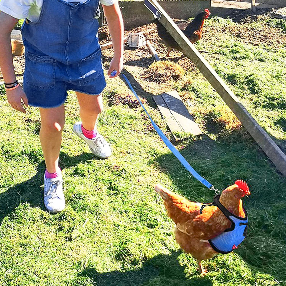 Arbootjin chicken harness blue breathable design keeps pets comfortable outside