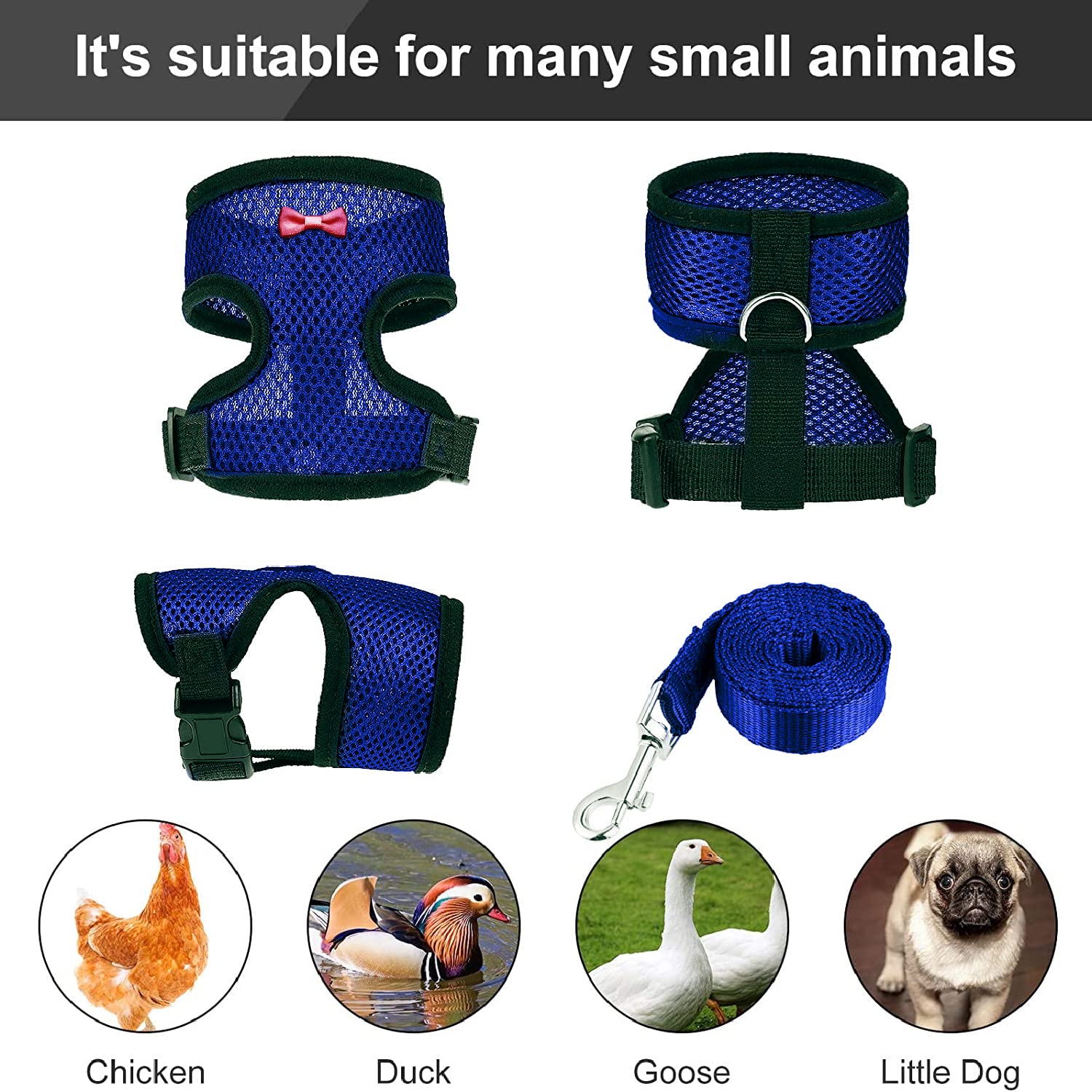 Arbootjin chicken harness blue chest girth detail highlights sizing accuracy