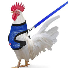 Arbootjin chicken harness blue front view with breathable fit for small pets
