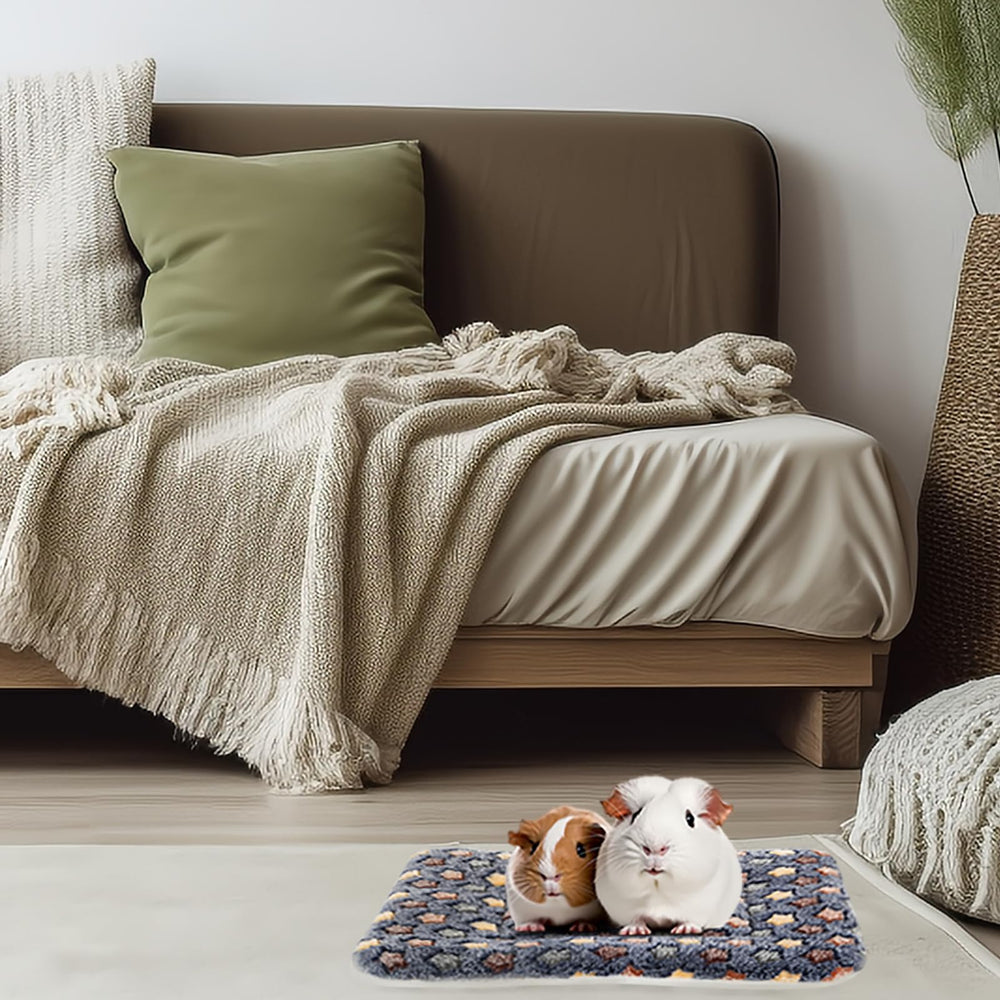 ARCTIC EAGLE Guinea Pig Bed 2 Pack packaging display highlights value and setup.
