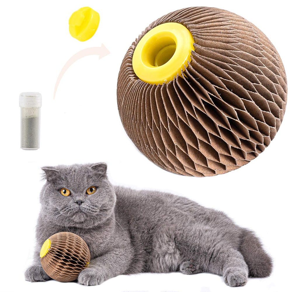 AREIIA catnip ball toy assembled for playtime and scratching