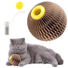 AREIIA catnip ball toy assembled for playtime and scratching