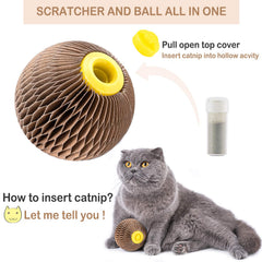 AREIIA catnip ball toy in use with curious cat boosting engagement