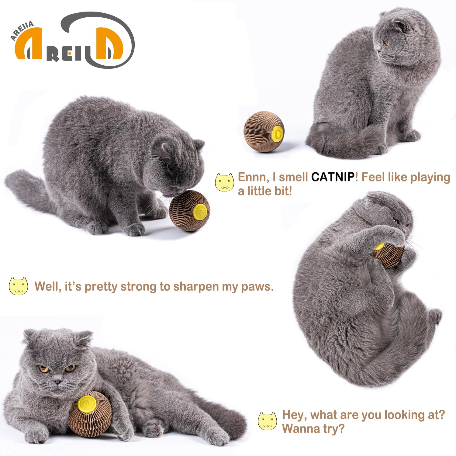 AREIIA catnip ball toy close-up showing catnip inside for active sniff-and-play
