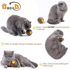 AREIIA catnip ball toy close-up showing catnip inside for active sniff-and-play