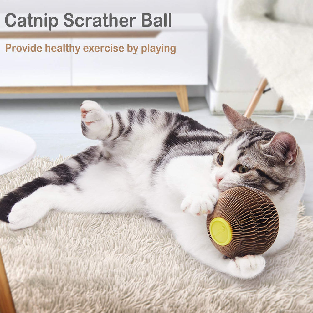 AREIIA catnip ball toy packaging and components ready to gift