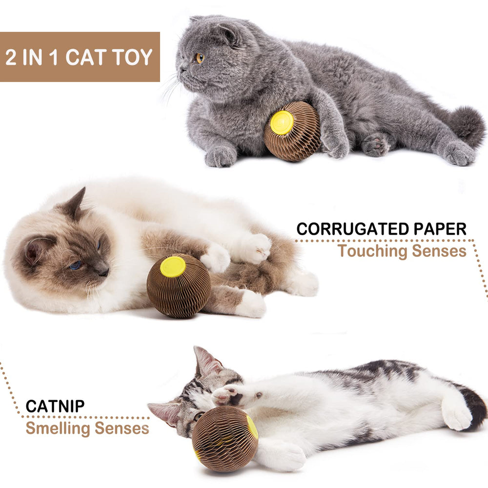 AREIIA catnip ball toy with scratch surface on wood floor for healthy claws