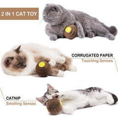AREIIA catnip ball toy with scratch surface on wood floor for healthy claws