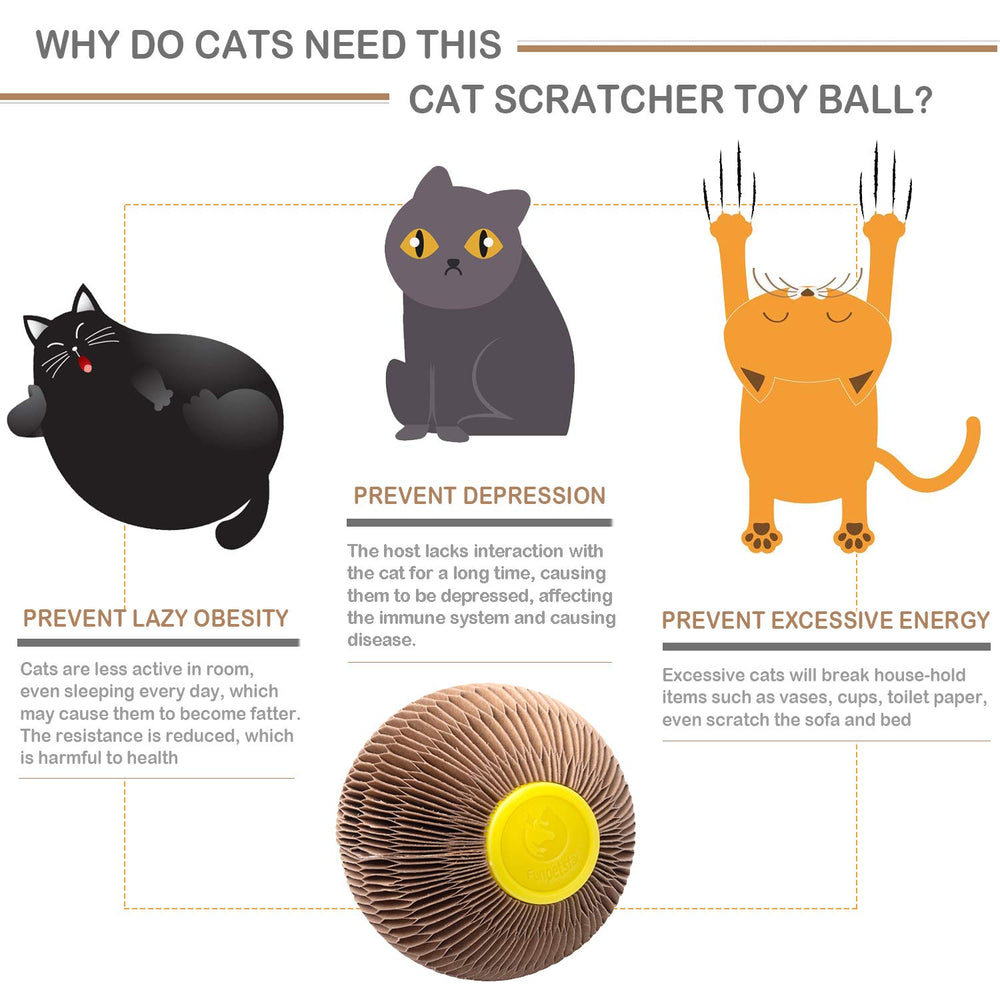 AREIIA catnip ball toy two-in-one design for scratching and bouncing play
