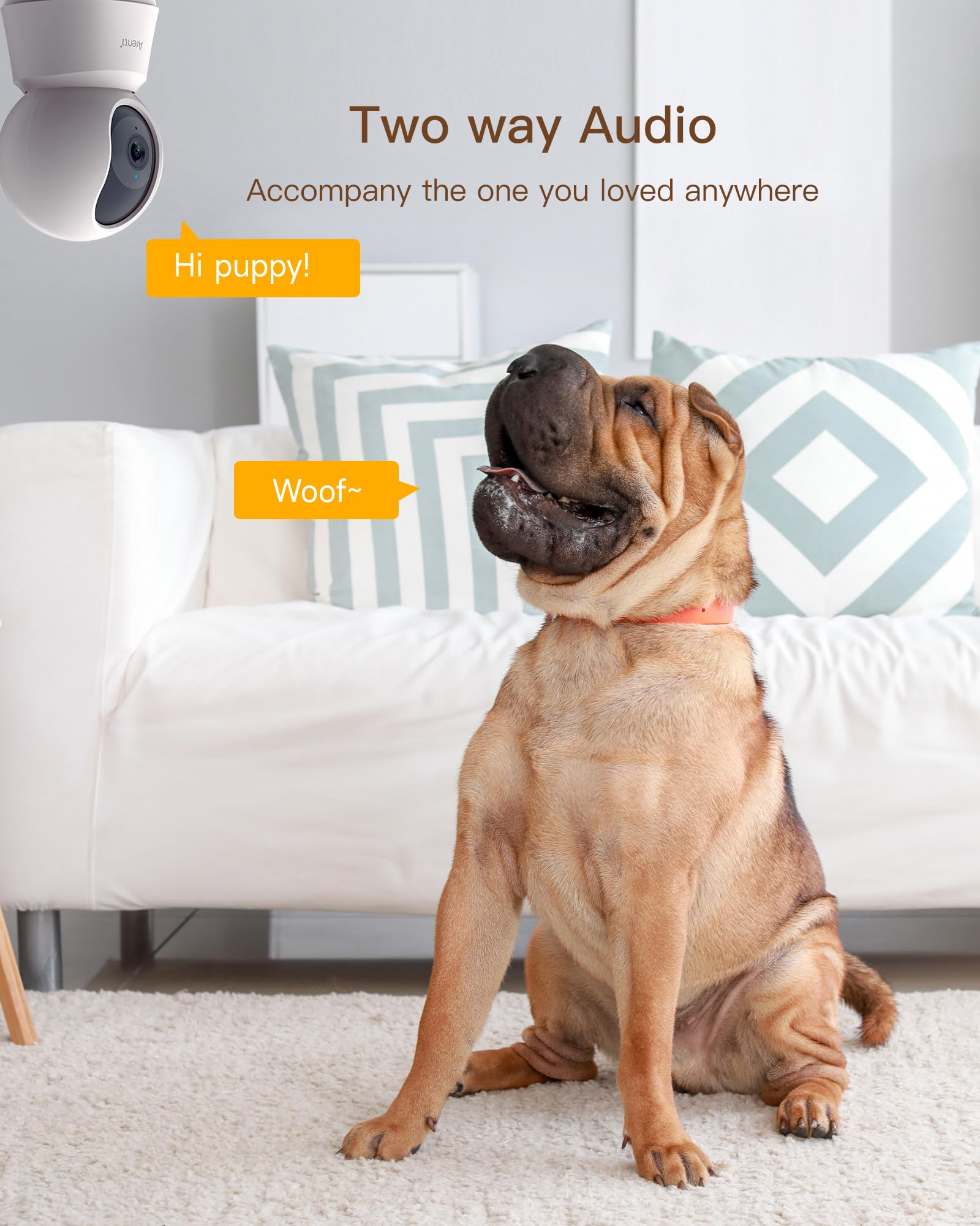 ARENTI ai motion detection auto-tracking view demonstrates automatic framing of activity.