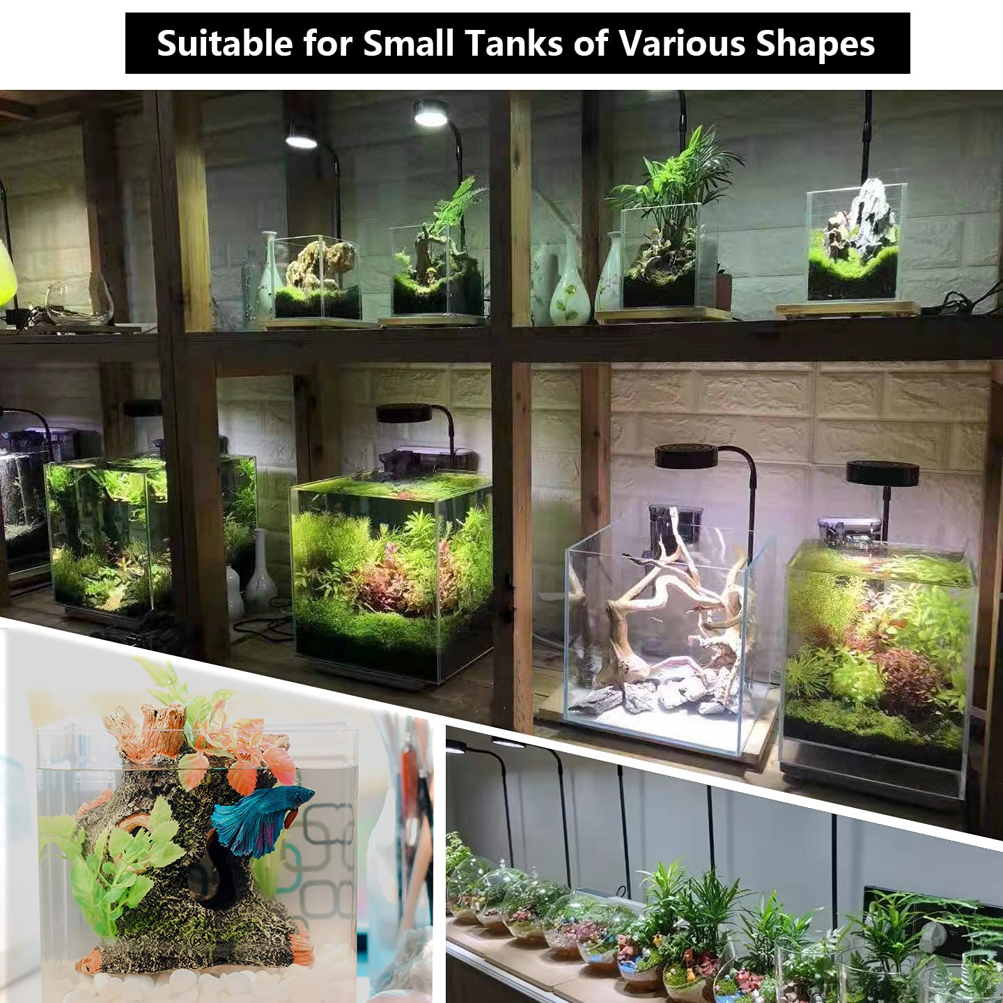 AREPK aquarium-light-bamboo-board displays renewable bamboo support with durable, stylish mounting.