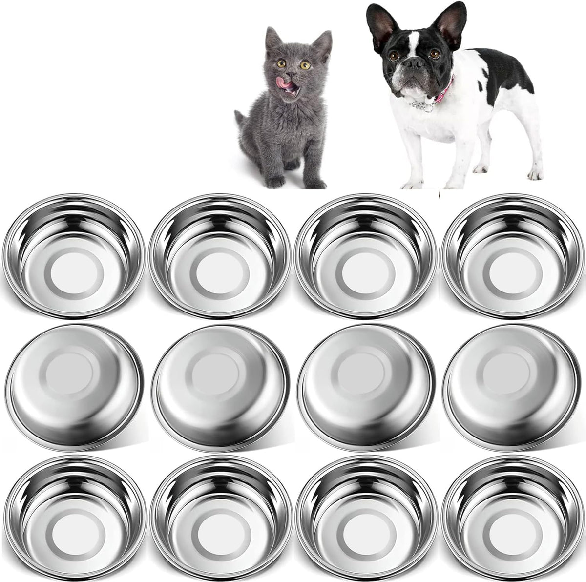 Arespark 12pc stainless steel cat bowls for durable daily meals
