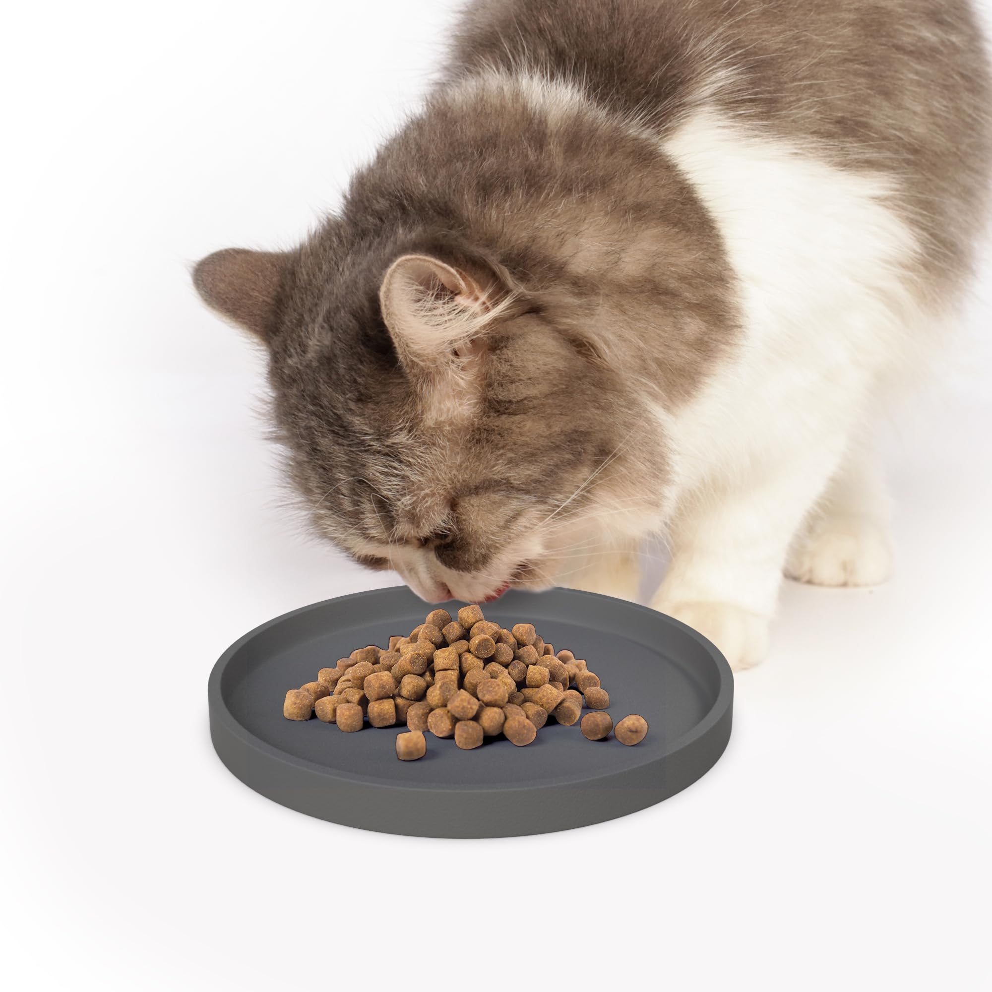 Arespark Pet Silicone Food Mat dishwasher-safe for quick cleaning after meals